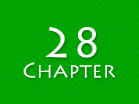 0101-English-Chap – 28 – Colours